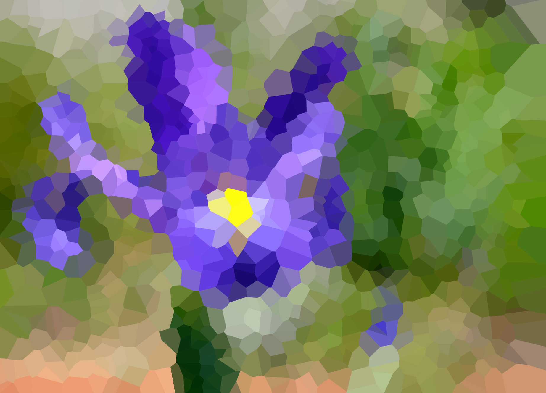 iris1000